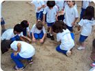 DSC01582.JPG