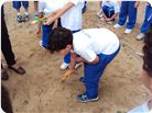 DSC01646.JPG