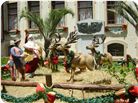 NATAL.JPG