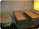 DSC04545.JPG