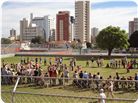 DSC04619.JPG